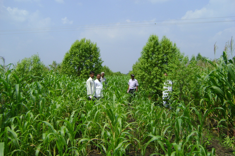 Farmer Photo Contest