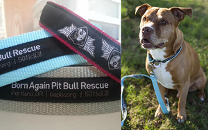 born again pit bull rescue