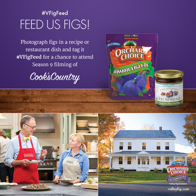 VFigFeed Feed Us Figs Instagram Photo Contest