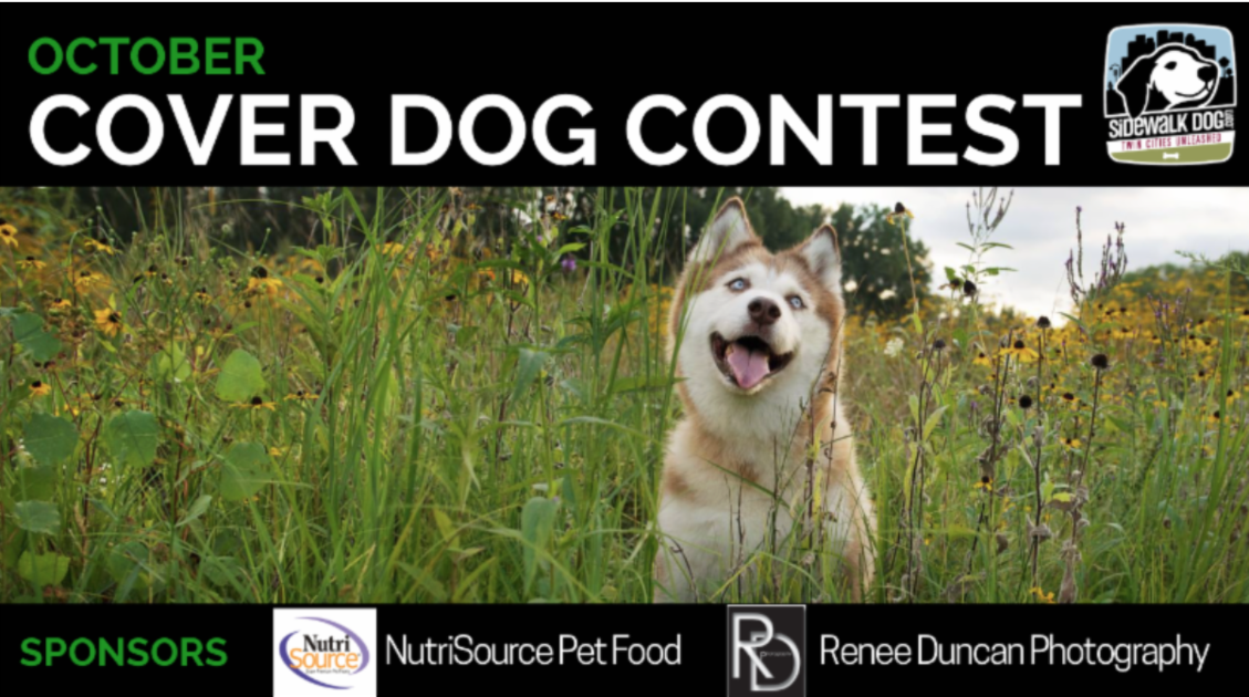 October Cover Dog Contest Calling ALL Dogs!