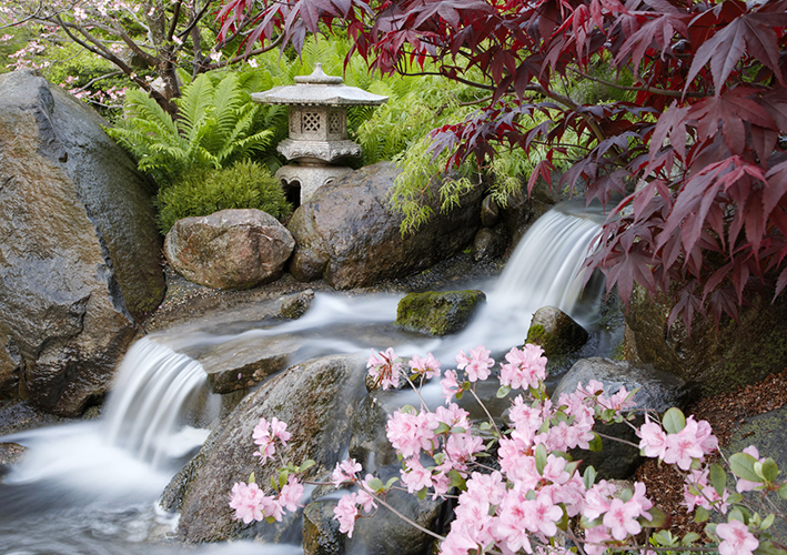 Anderson Japanese Gardens