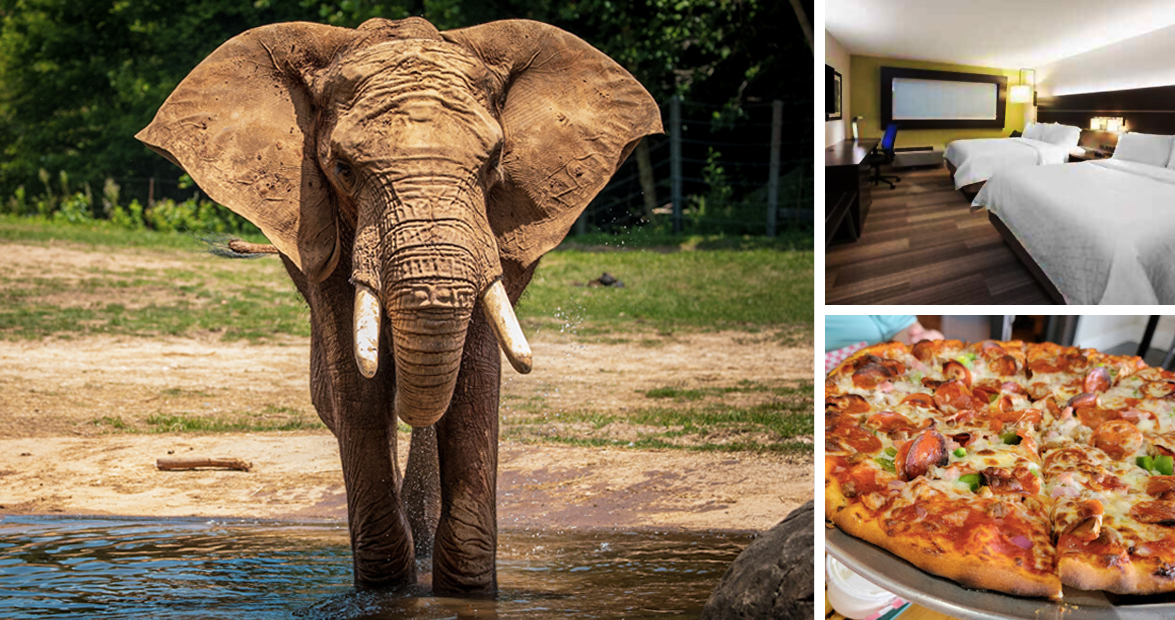 202206 NC Zoo Adventure Getaway