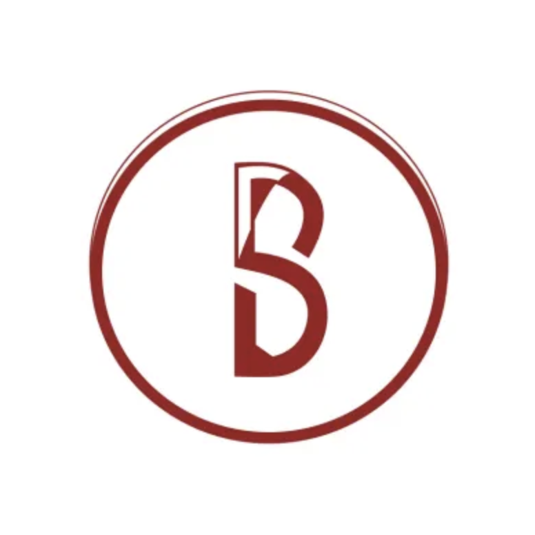 bigstartups logo