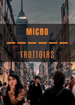 Micro-Trottoirs_poster