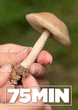 75 minutos_poster