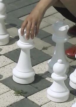 Schach_poster
