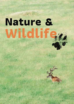 Nature & Wildlife_poster