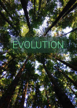 Evolution_poster