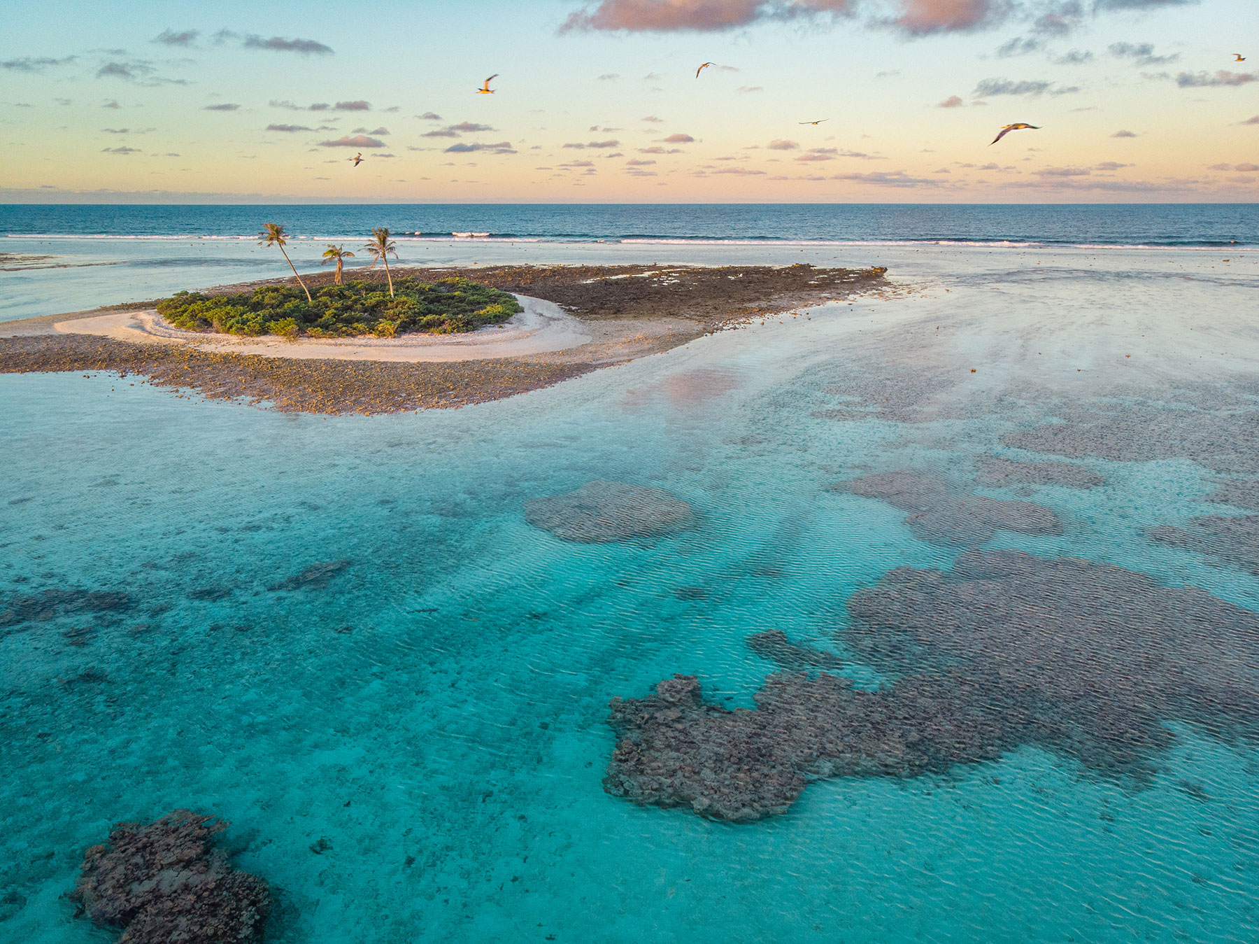 Gambier-1-DJI_0233 Gambier-1-DJI_0233