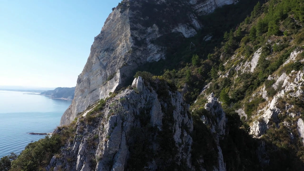 Film_CL Navetta30_The Art of Movement