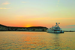 IMG_6690 IMG_6690