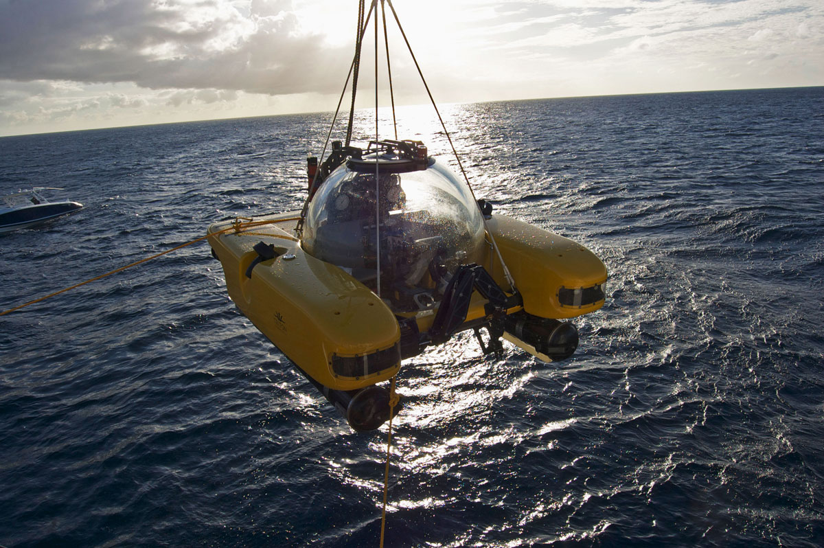 Triton_2235