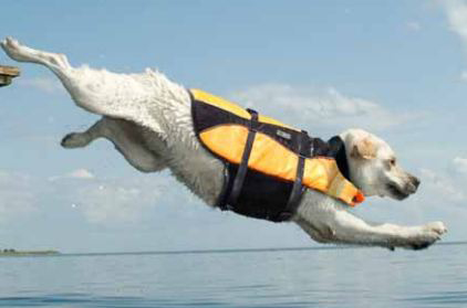 Kyjen-LifeJacket Kyjen-LifeJacket