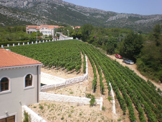 Croatia-KortaKatarinaWinery-9 Croatia-KortaKatarinaWinery-9