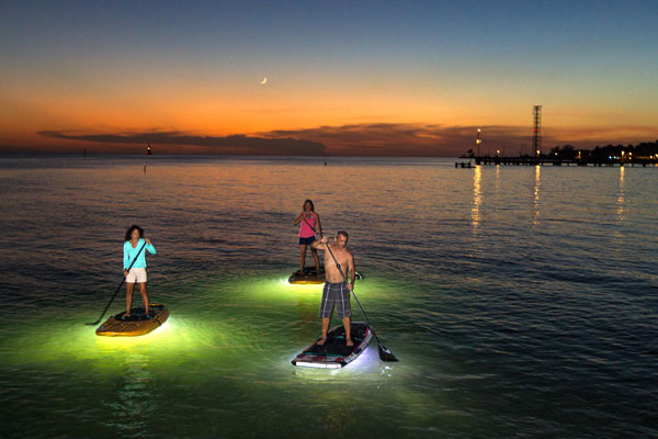 NocquaLEDPaddleboards-1