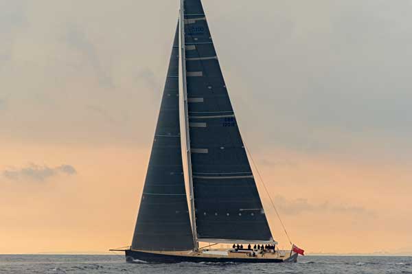 wallyprofilex600