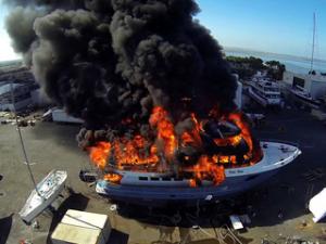 polarbearfire