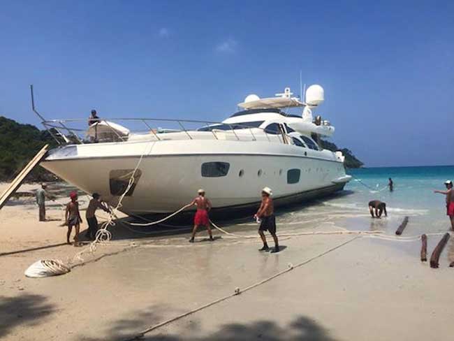 beachedx650