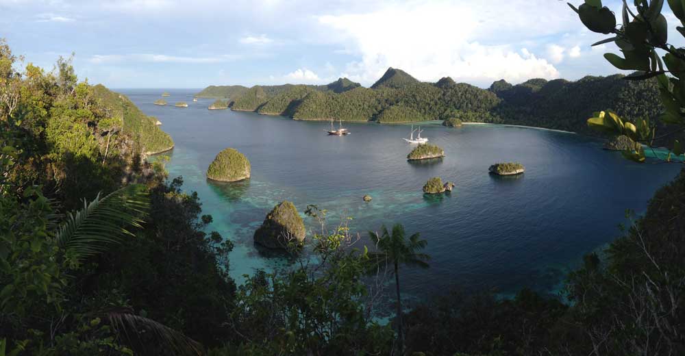 indonesiax1000 indonesiax1000