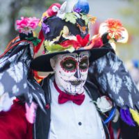 15687623512_05ce62885d_k