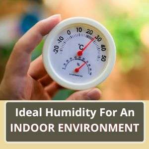 Home 9 Dehumidifiers Keep Humidity Ideal