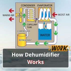Home 14 How A Dehumidifier Works