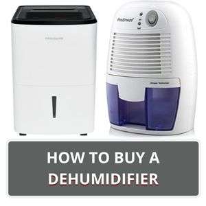 Home 8 How To Buy A Dehumidifier