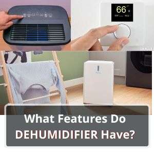 Home 19 What Features Do Dehumidifiers Have