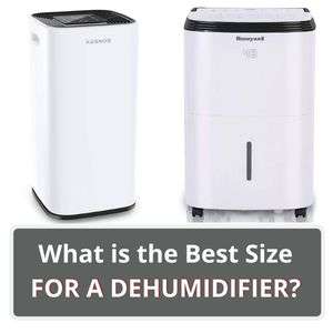 Home 18 What Is The Best Size For A Dehumidifier