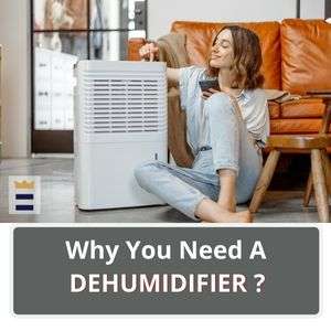 Home 13 Why Do You Need A Dehumidifier