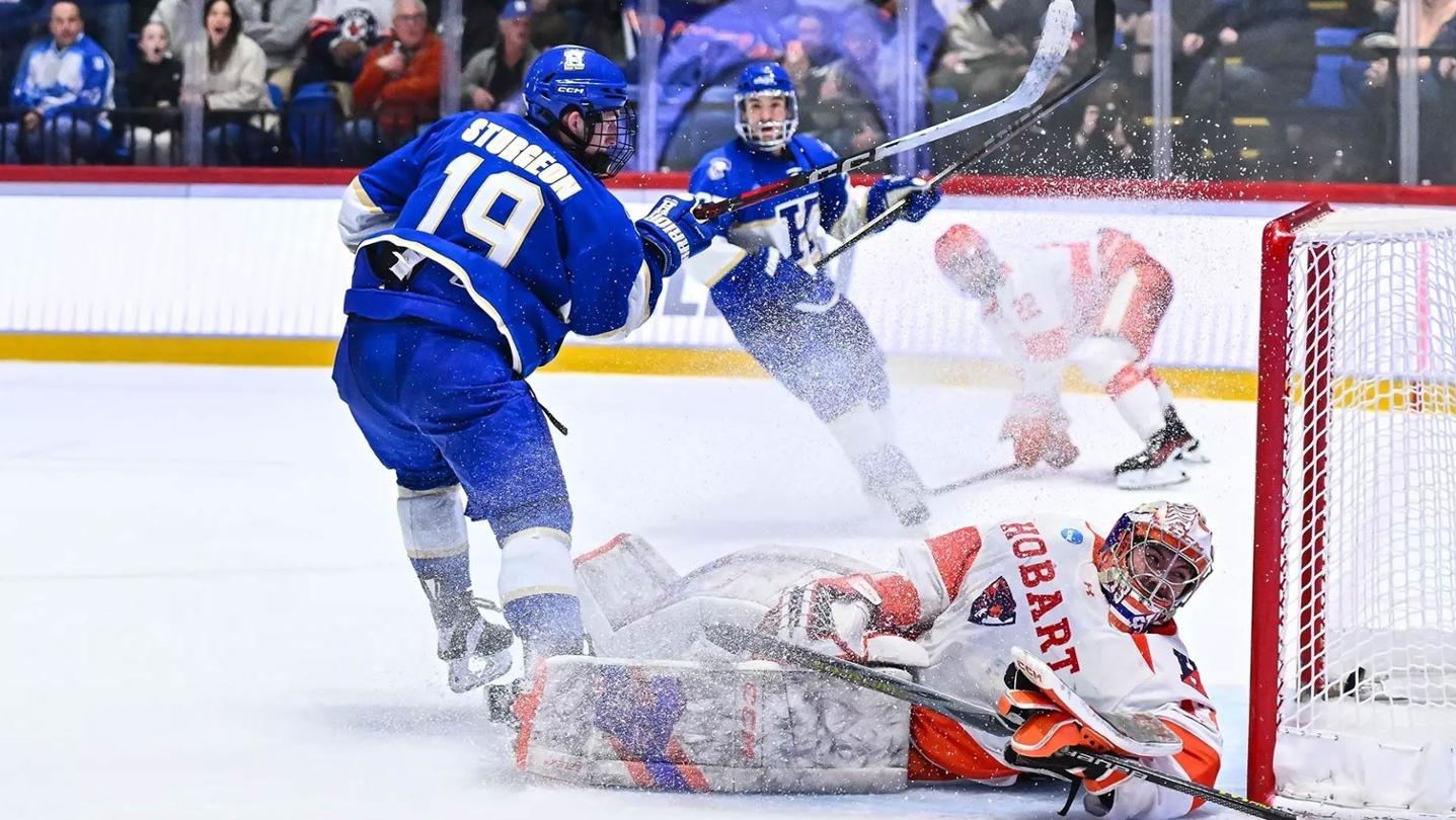 Sturgeon scores winning goal