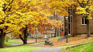 Exterior view of Bundy on a fall day.