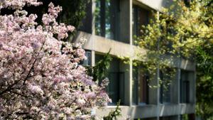 Minor Residence Hall in the spring.