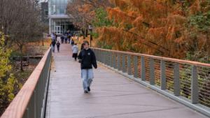 The updated pedestrian bridge on Family Weekend 2025