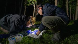 Austin Tubia &rsquo;27 and Alden Duserick &rsquo;27 collect samples from green frogs.