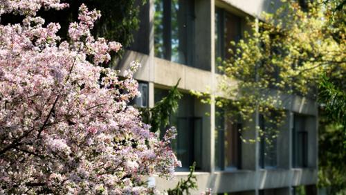 Read more about Faculty, Students, and Alumni in the International, National, and Regional News &ndash; May 2026