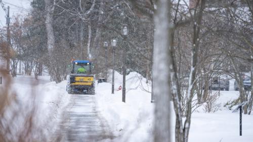 Read more about Clearing the Hill, One Snowstorm at a Time