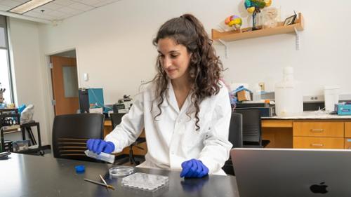 Read more about Senior Fellow Afsar-Keshmiri &rsquo;26 Dives Deep into Neurodegenerative Diseases