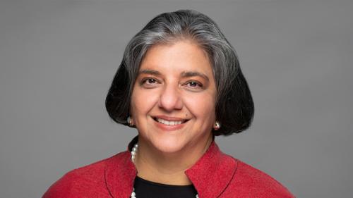 Page Header photo of Geeta Pasi, Sol M. Linowitz Visiting Professor of International Affairs