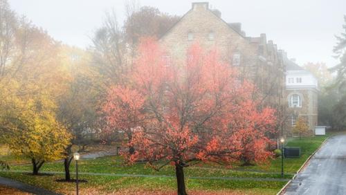 Read more about Hamilton in the News - Third Quarter 2021