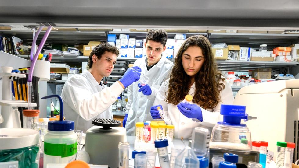 Aksel Reid ’27, Lucas Constantine ’27, and Lydia DeTraglia ’28 interning at the Masonic Medical Research Institute.