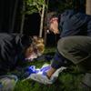 Austin Tubia &rsquo;27 and Alden Duserick &rsquo;27 collect samples from green frogs.