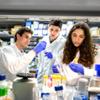 Aksel Reid &rsquo;27, Lucas Constantine &rsquo;27, and Lydia DeTraglia &rsquo;28 interning at the Masonic Medical Research Institute.