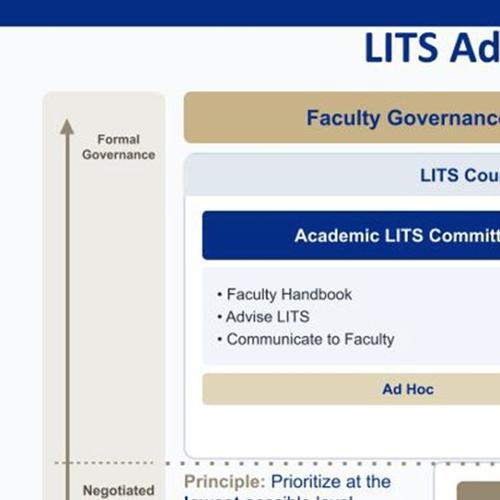 LITS Governance Structure