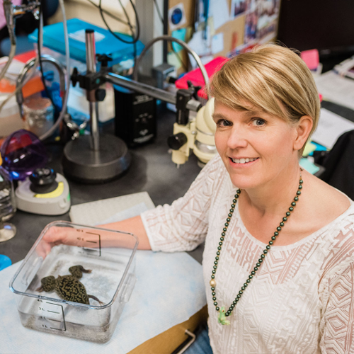 Careers & Hamilton College