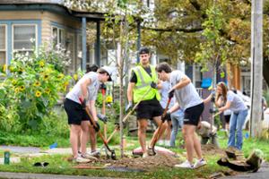 planting trees in Utica