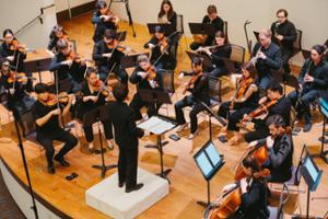 NY Classical  Players 
