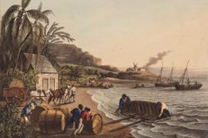 Shipping Sugar, Willoughby Bay, Antigua