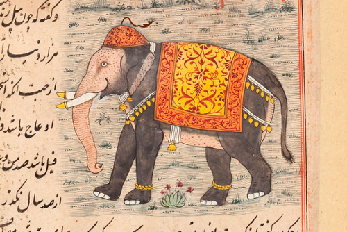 Elephant from Farah&rsquo;s Encyclopedia of Nature, ca. 1600-1700