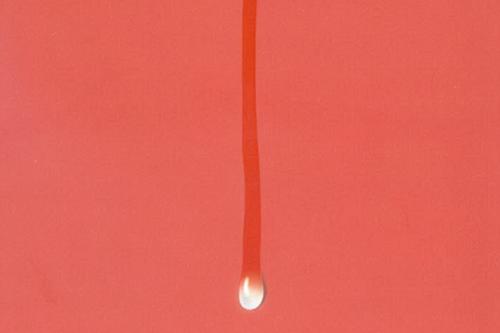 Wet Apples, White Blood Cover - 1200x1865